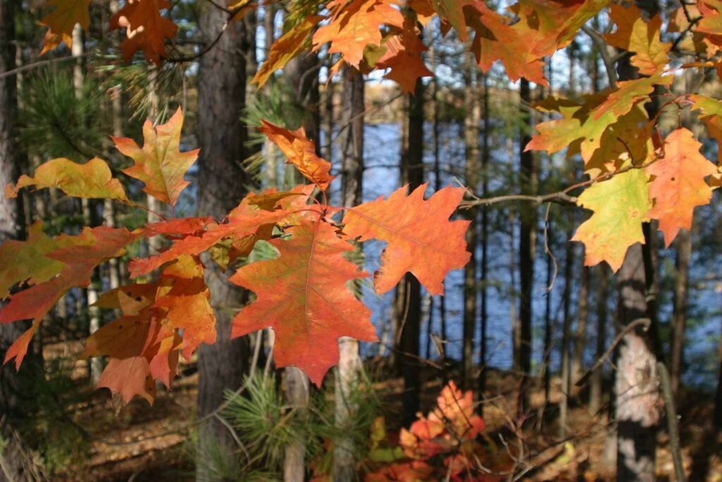 Hayward Vacation Location